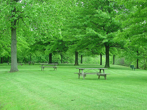 Picnic Area